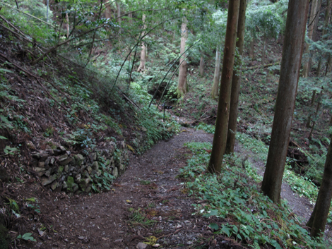 20181016hike (247)